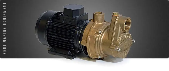 Electropompe eaux noires Forani - Série AT