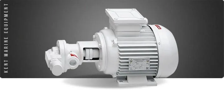 Pompes de transfert et vidange huile - gasoil Gianneschi