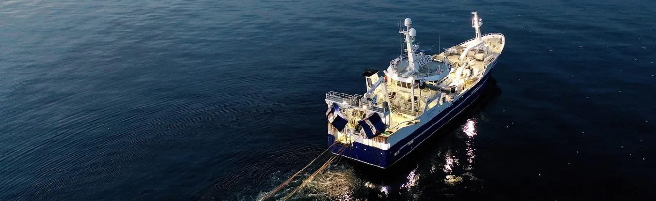 Navires de pêche
