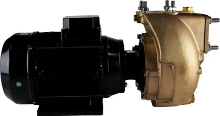 Electropompe AM50D5 230/400V triphasé