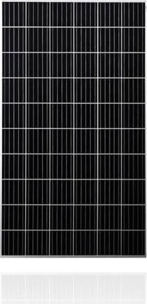 Panneau solaire monocristallin 310W