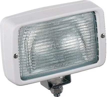 Projecteur 12V 55W