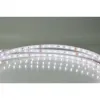 Bande LED 12V blanc chaud 8mm IP54