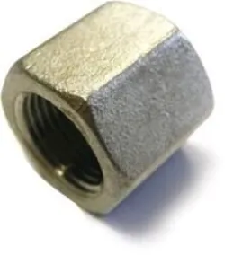 Bouchon femelle inox 2''