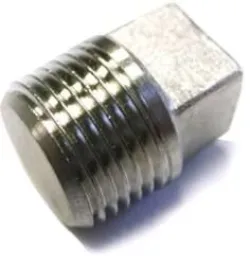 Bouchon mâle inox 2''