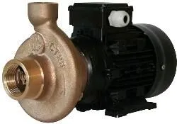 Electropompe CT25 24V